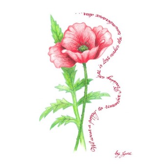 Cartolina d'auguri del papavero del ricordo di Calligraphy Arts