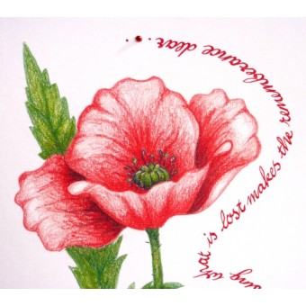 Remembrance Poppy lykønskningskort af Calligraphy Arts 2