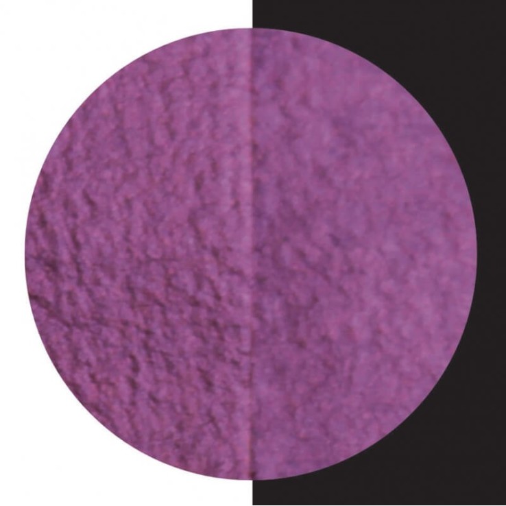 Coliro "Magnolia" pearlcolor for calligraphy