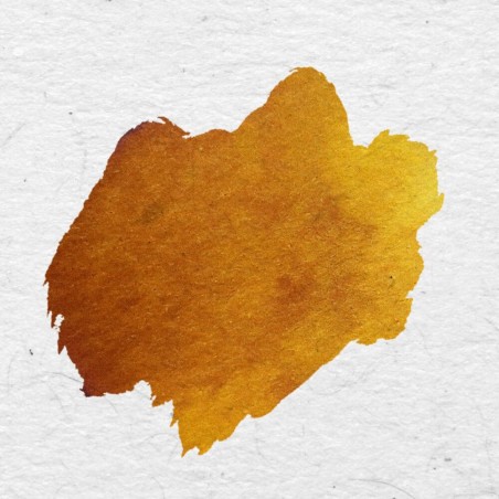 Amber Leonardo calligraphy ink colour swatch showing warm golden brown tone