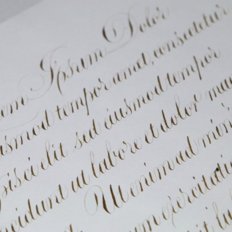Letras de manuscritos sepia con PAScribe tinta