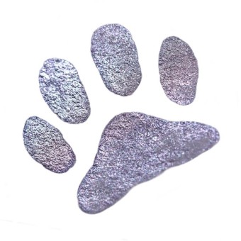 Coliro "Purrfect Day" shimmering violet paint refill 2