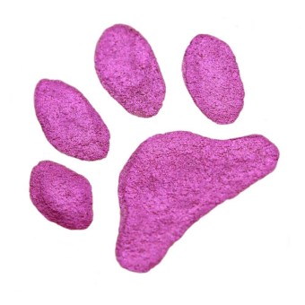 Coliro "Meowgenta" Pink-Magenta Pearlcolor 2